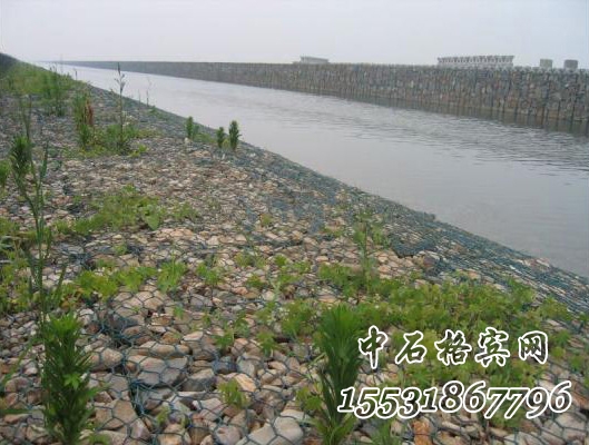 河道護坡綠濱墊